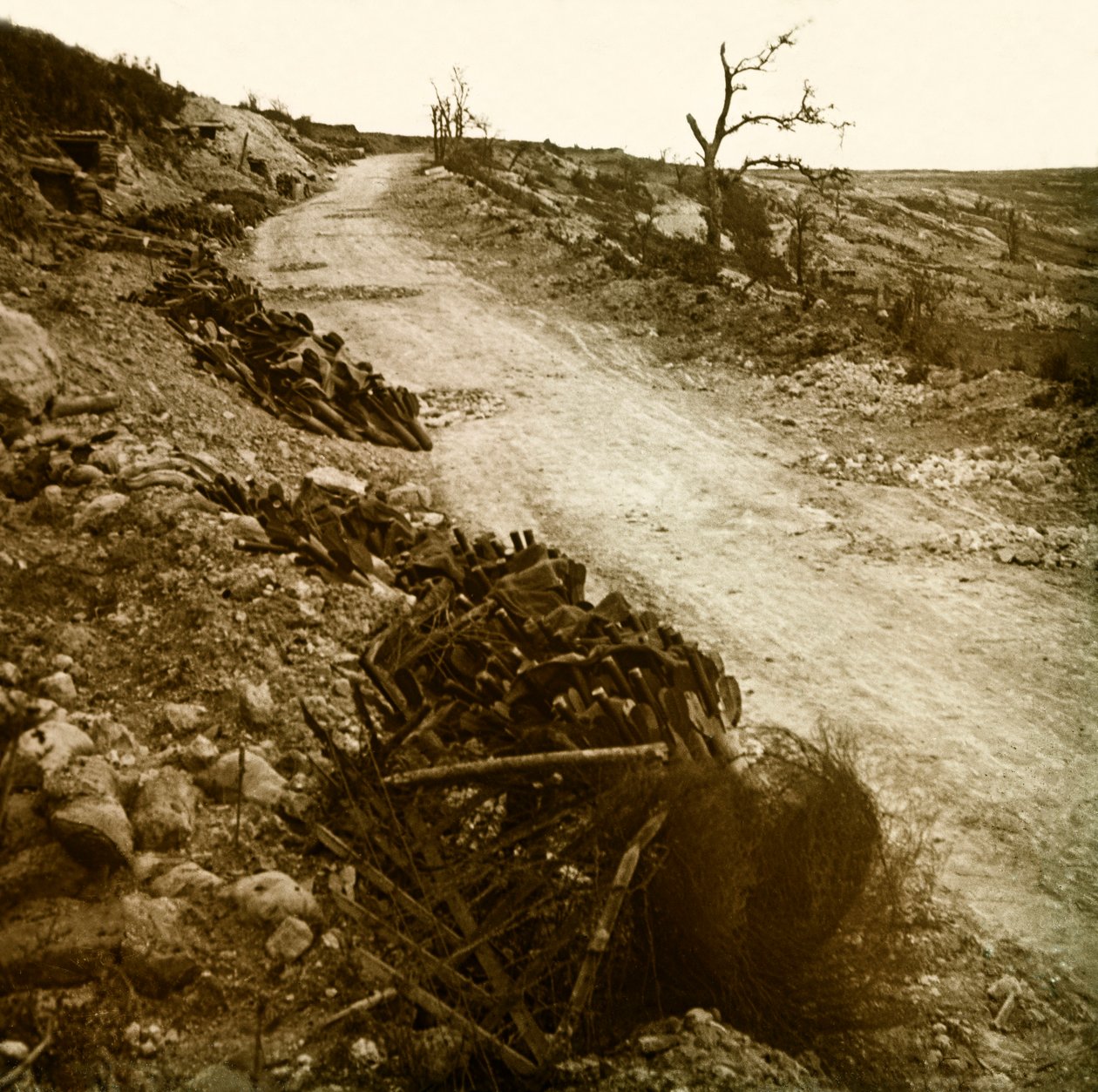 Stereoscopic glass plate on the First World War by Anonymous Anonymous