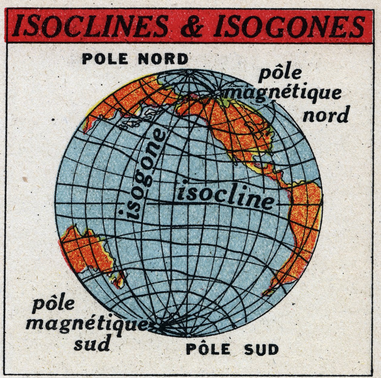 Terrestrial magnetism: magnetic map showing isoclins and isogones. Anonymous illustration from 1925. Private collection. by Anonymous Anonymous