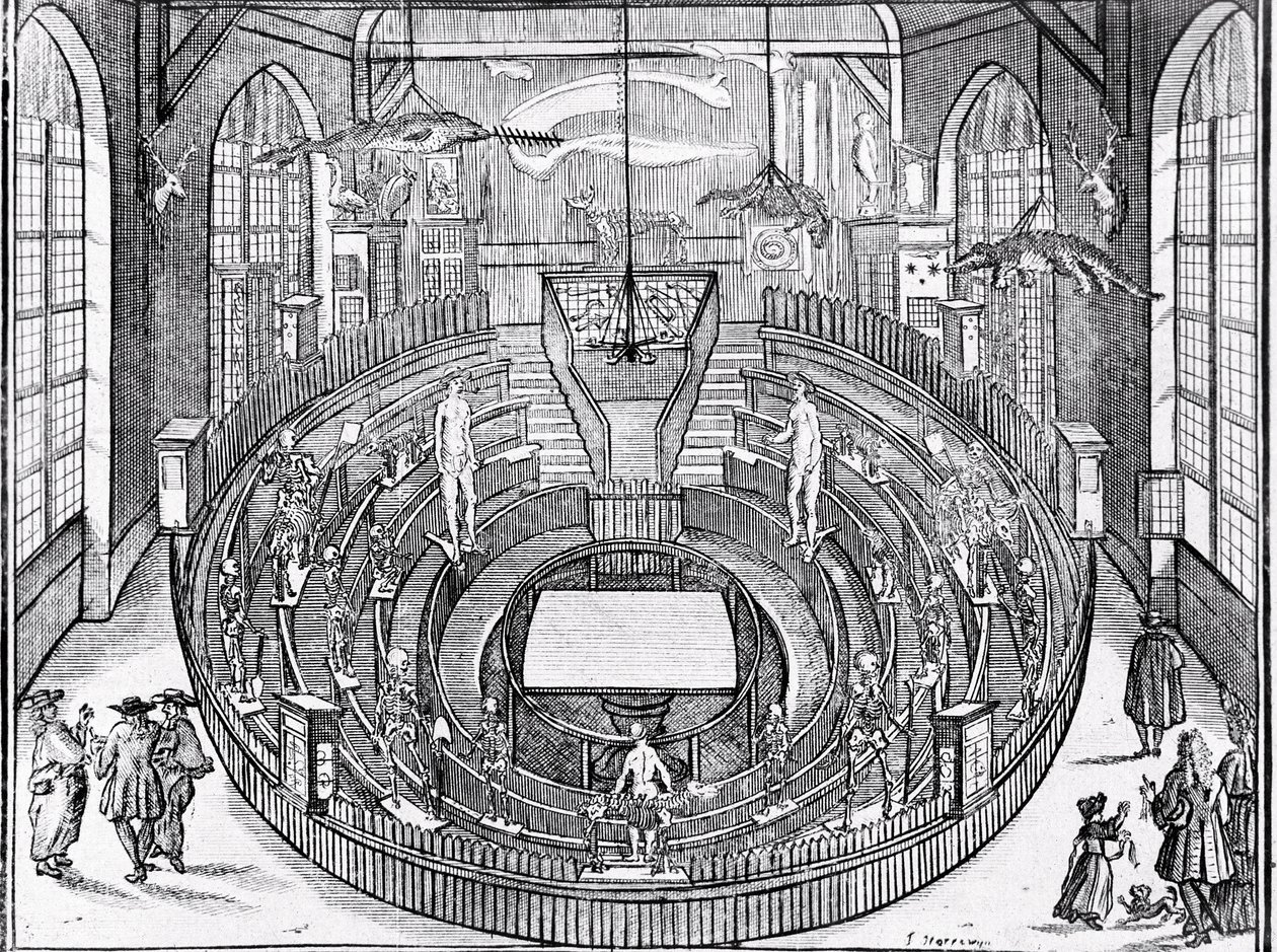 View of an anatomical theatre probably at Leiden University in the early 17th century by Anonymous Anonymous