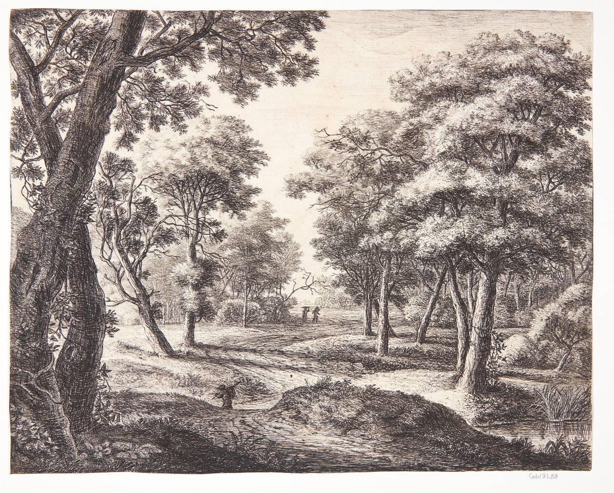 Forest Road by Anthonie Waterloo