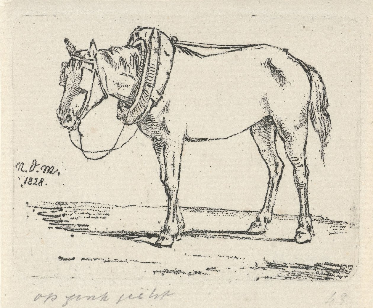 Harnessed Horse by Anthonie Willem Hendrik Nolthenius de Man