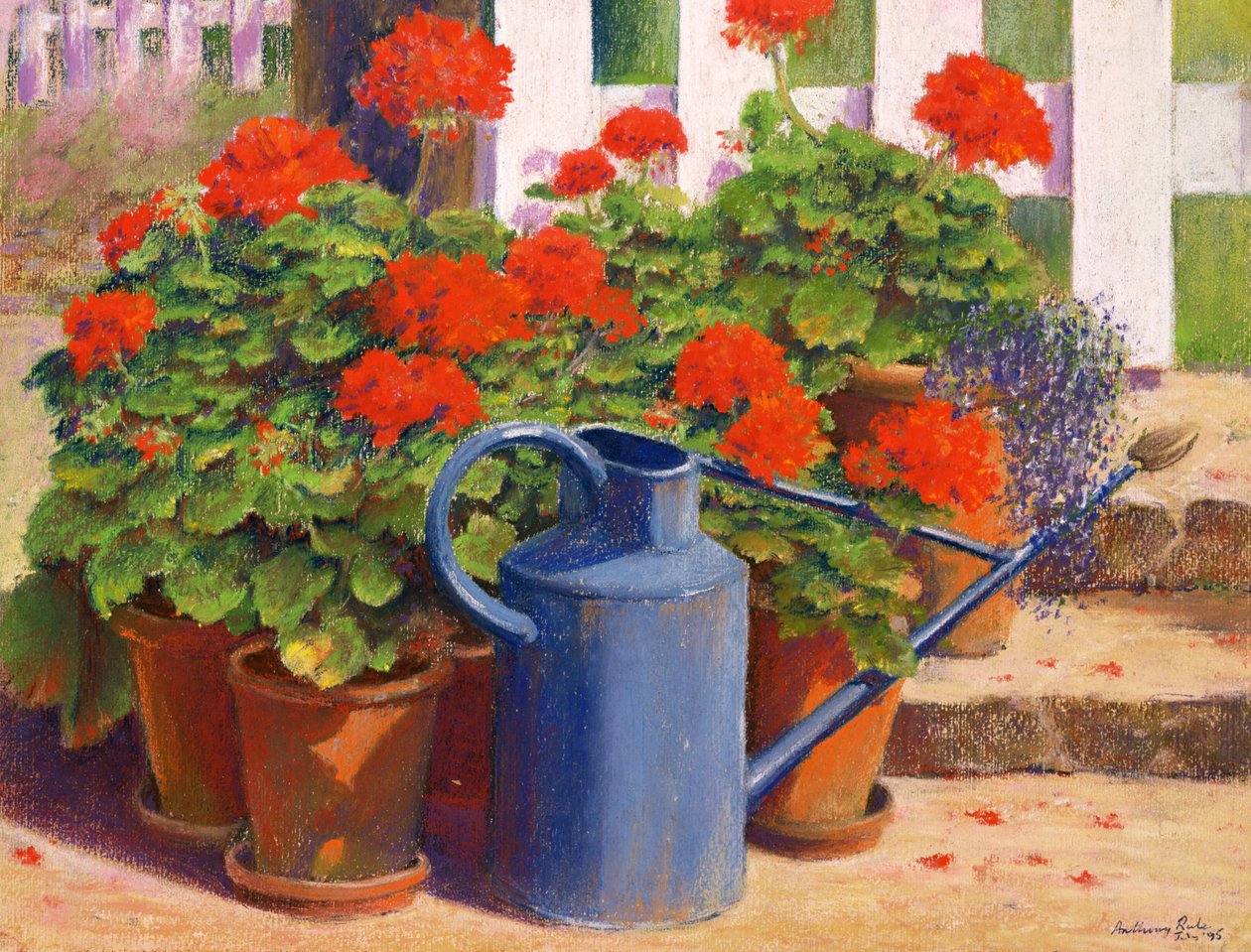The Blue Watering Can by Anthony Rule