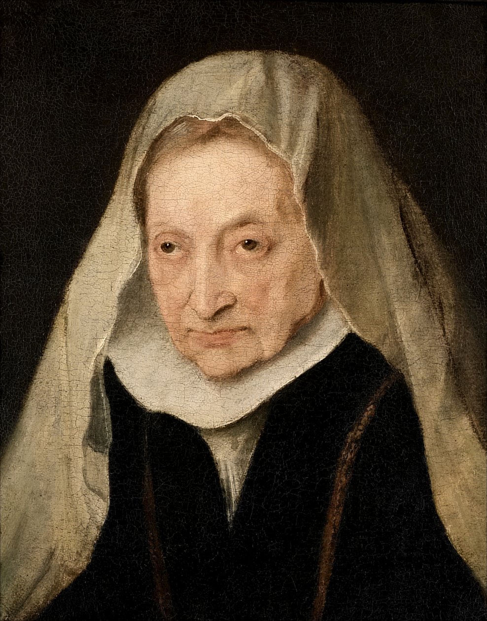 Sofonisba Anguissola by Anthony van Dyck
