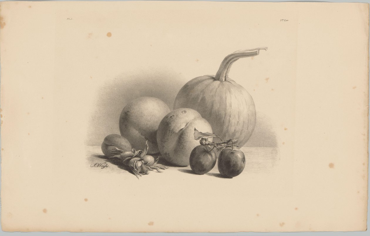 Pumpkin, Peaches, Apricot, Plums, and Hazelnuts (Flower and Fruit Studies, 3rd Issue) by Anton Weiss