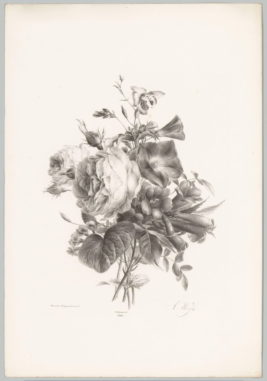 Roses and Cup-shaped Flowers (Flower and Fruit Studies, 10th installment) by Anton Weiss