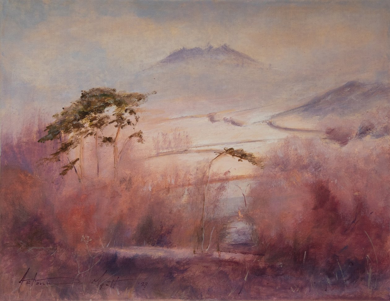 Frozen Valley, Somerset, 2023 by Antonia Myatt