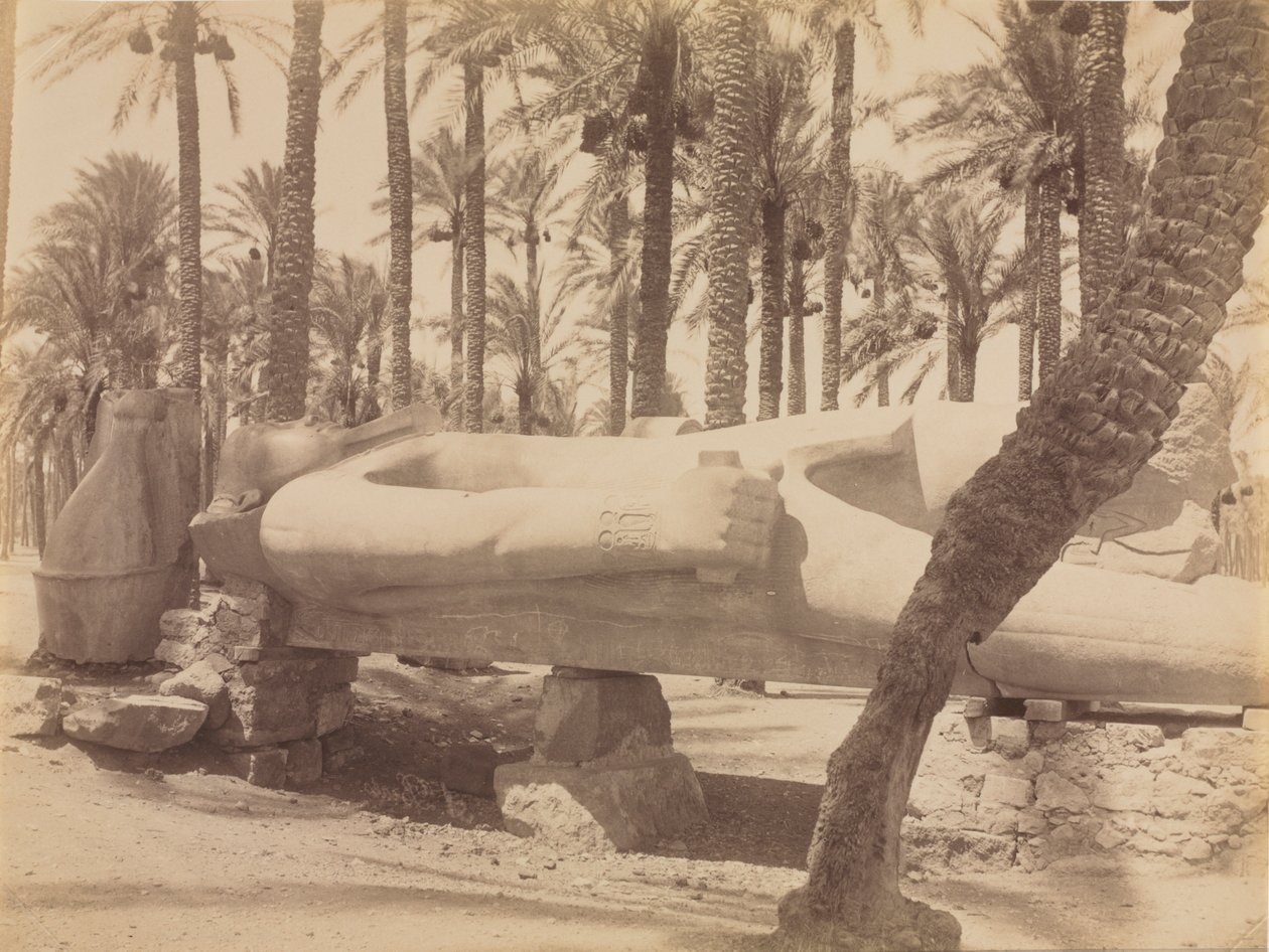 Statue of Ramesses at Saqqara, c. 1870s-1880s by Antonio Beato