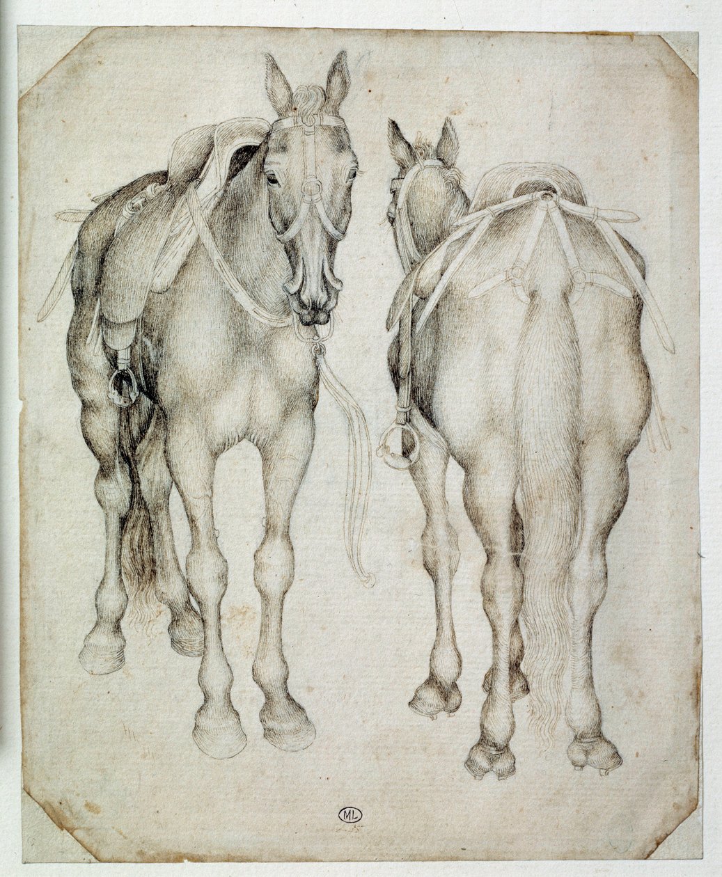 Two harnesses, seen three quarters, one from the front and the other from the back. Drawing by Pisanello by Antonio Pisanello