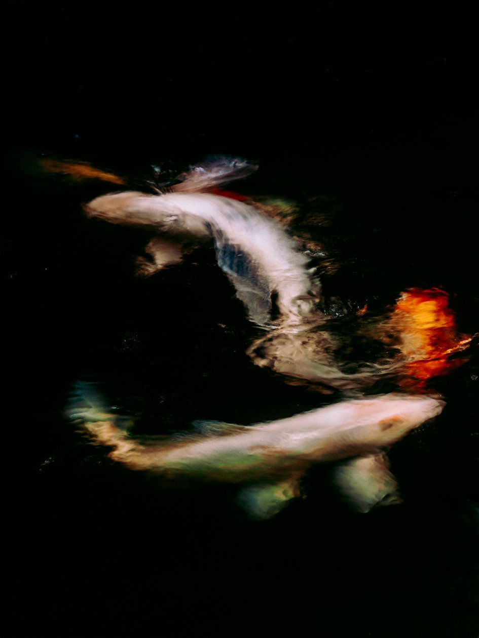 Haikai V, 2022 by Antonio Schubert