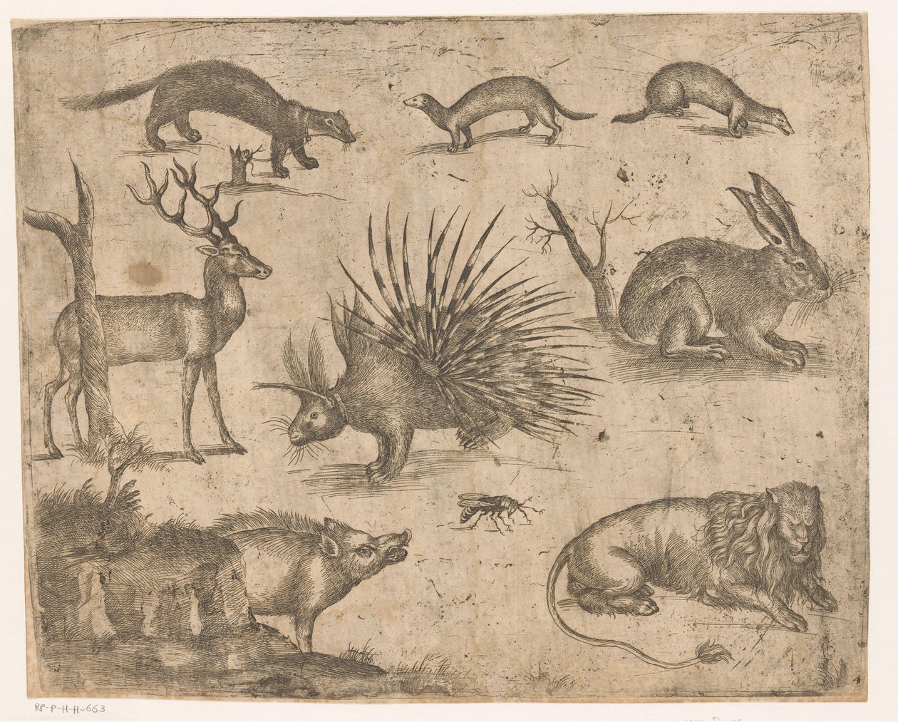 Study Sheet with Various Animals by Antonio Tempesta (attributed to)