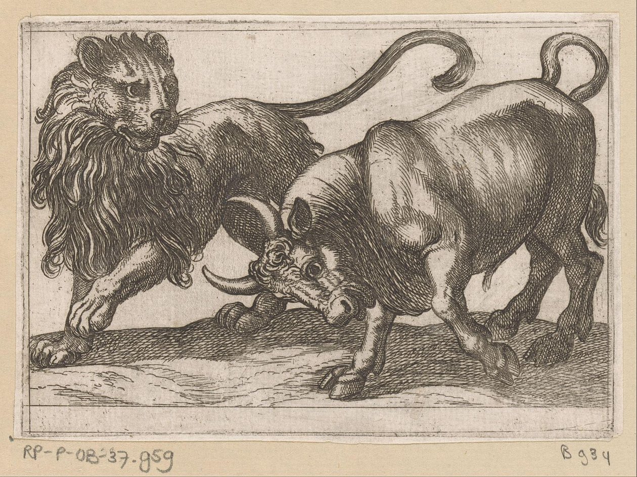 A Bull Attacking a Lion by Antonio Tempesta