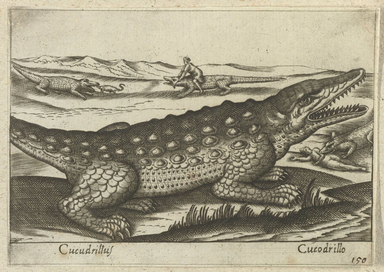 Crocodile (Animals and Mythical Creatures, Nova raccolta de li animali piu curiosi del mondo) by Antonio Tempesta