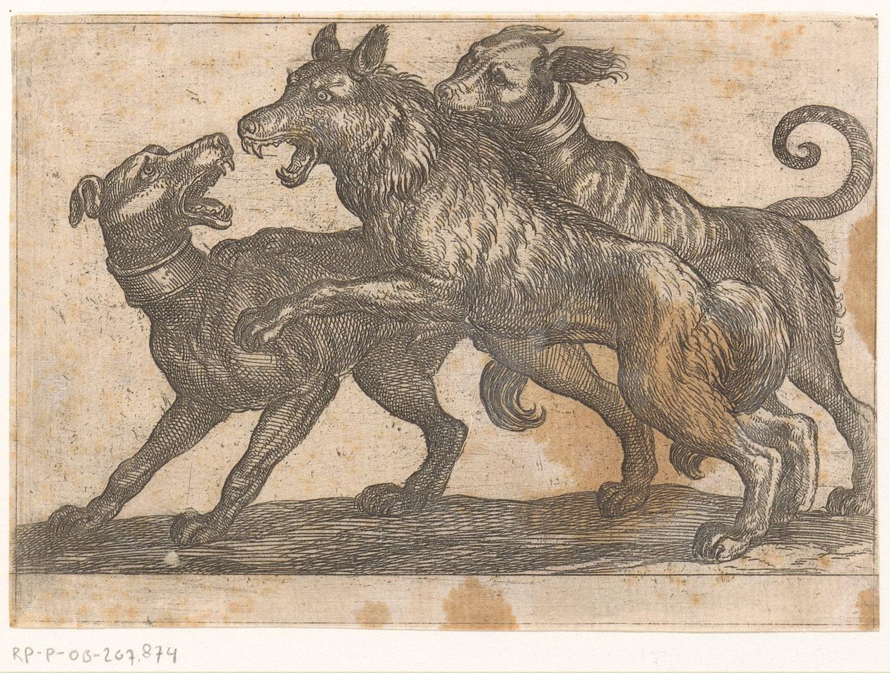 Two Dogs Fighting a Wolf (Fighting Animals) by Antonio Tempesta