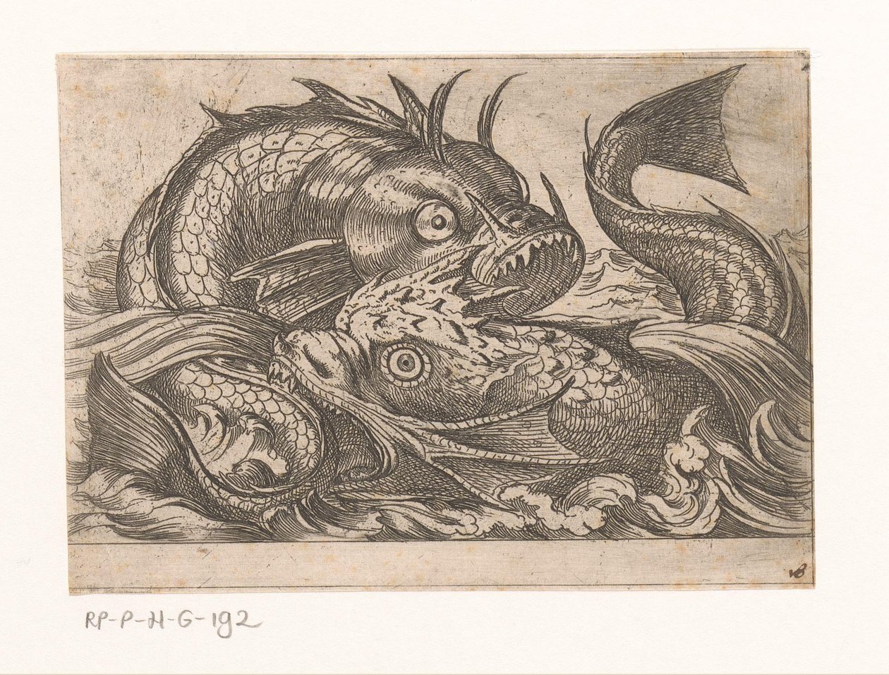 Two Fighting Fish (Fighting Animals) by Antonio Tempesta