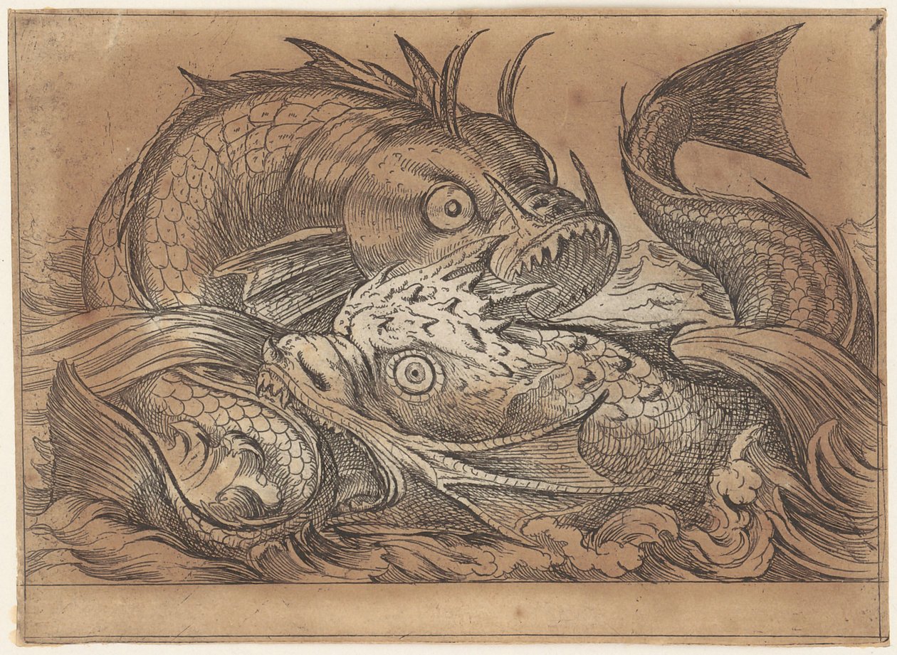 Two Fighting Fish by Antonio Tempesta