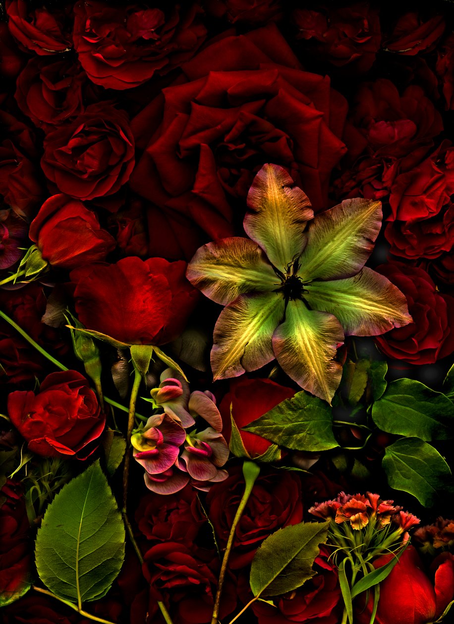 Artfloral No.7, 2015 by Antonius Antonius