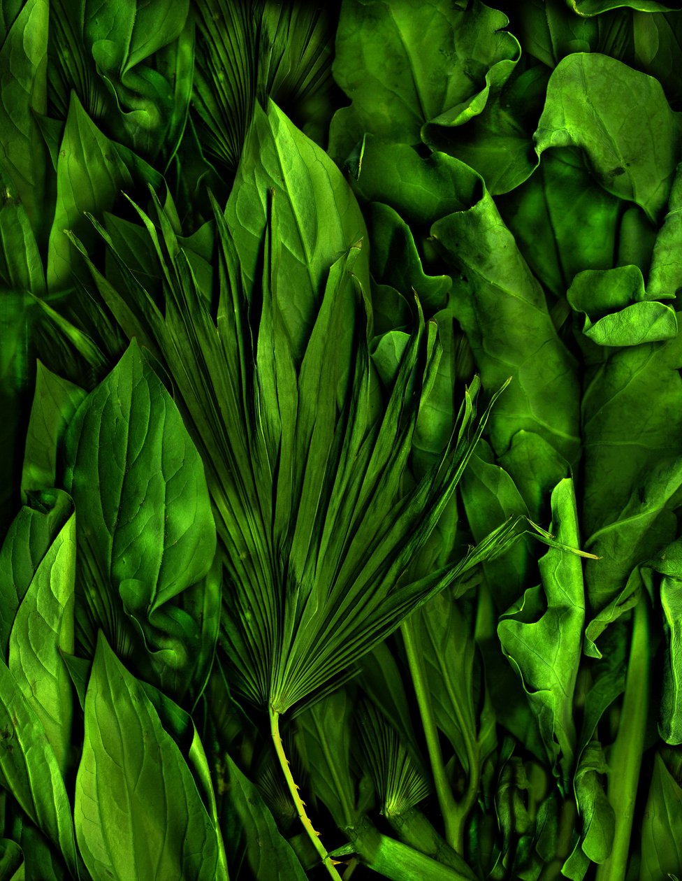 Magic Garden No.6-3, 2020 by Antonius Antonius