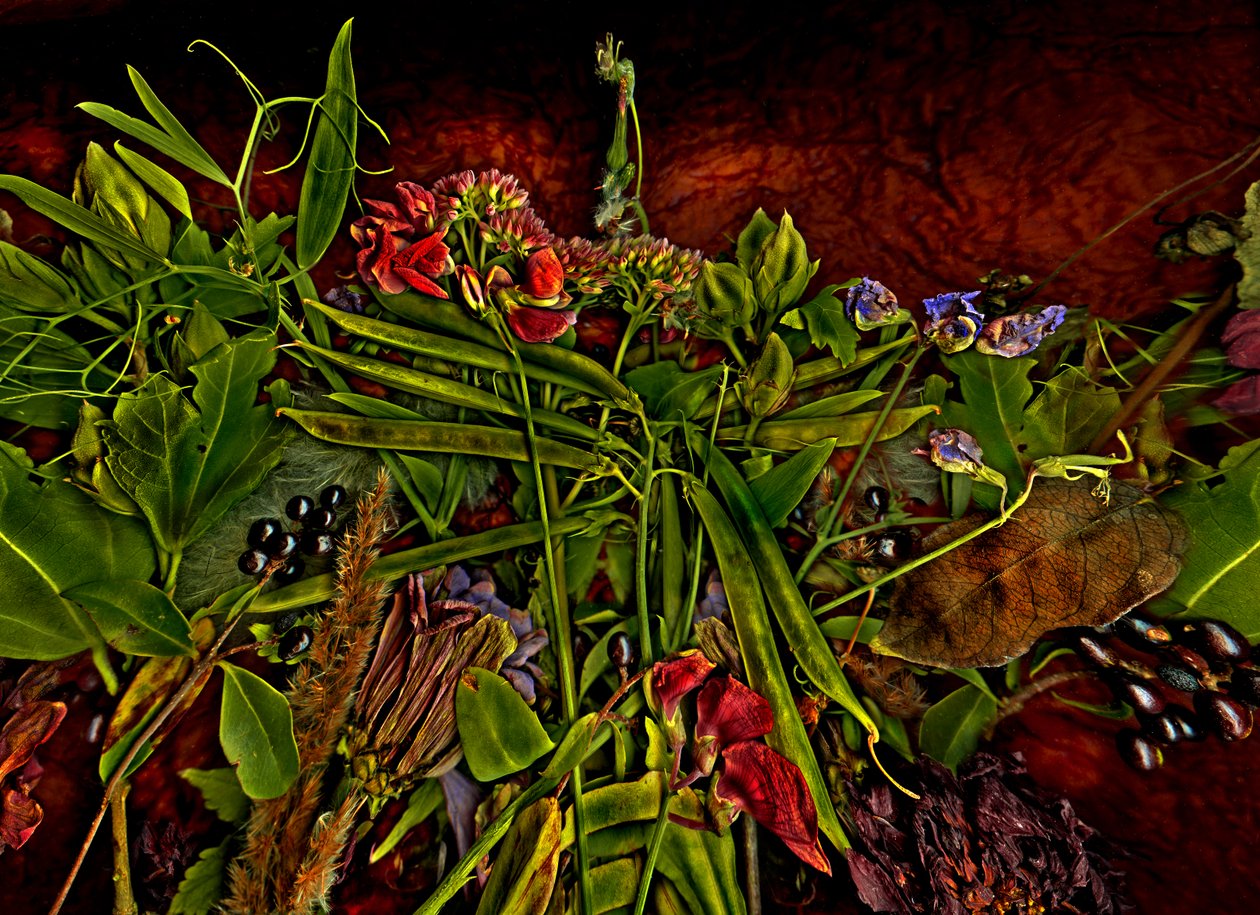 Still-life M 3, 2014 by Antonius Antonius