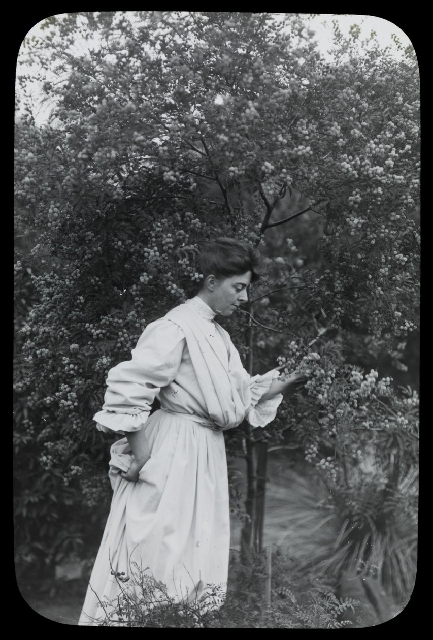 Amy Campbell with Wattle by Archibald James Campbell