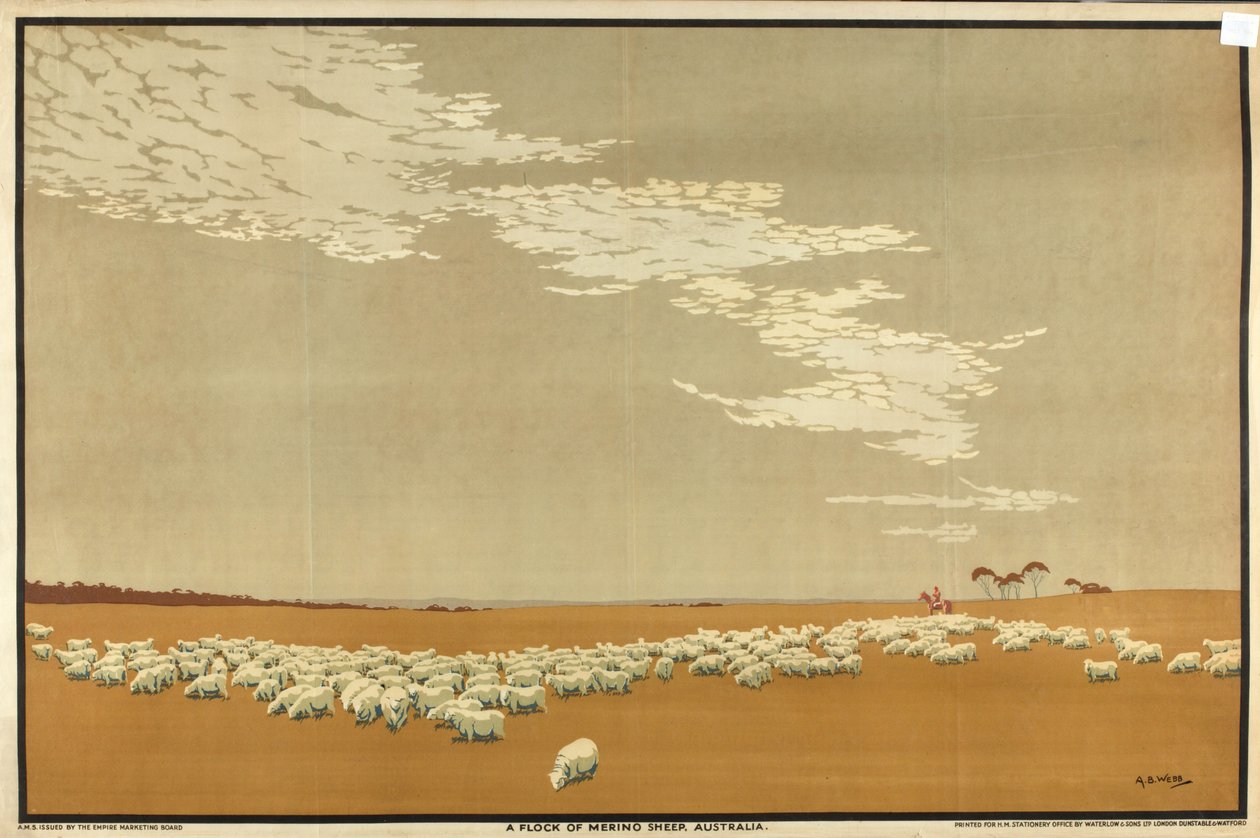 A Flock of Merino Sheep - Australia, from the series 