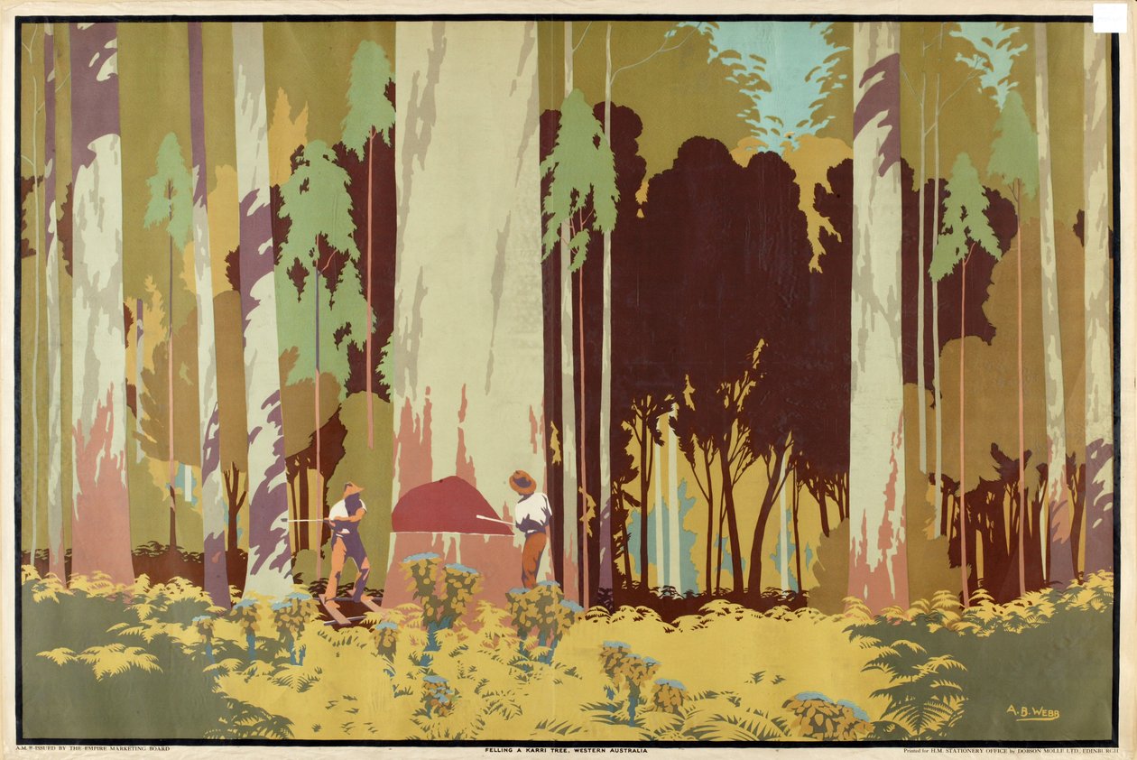 Felling a Karri Tree, Western Australia, from the series 