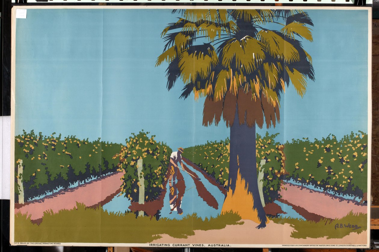 Irrigating Currant Vines - Australia by Archibald Bertram Webb