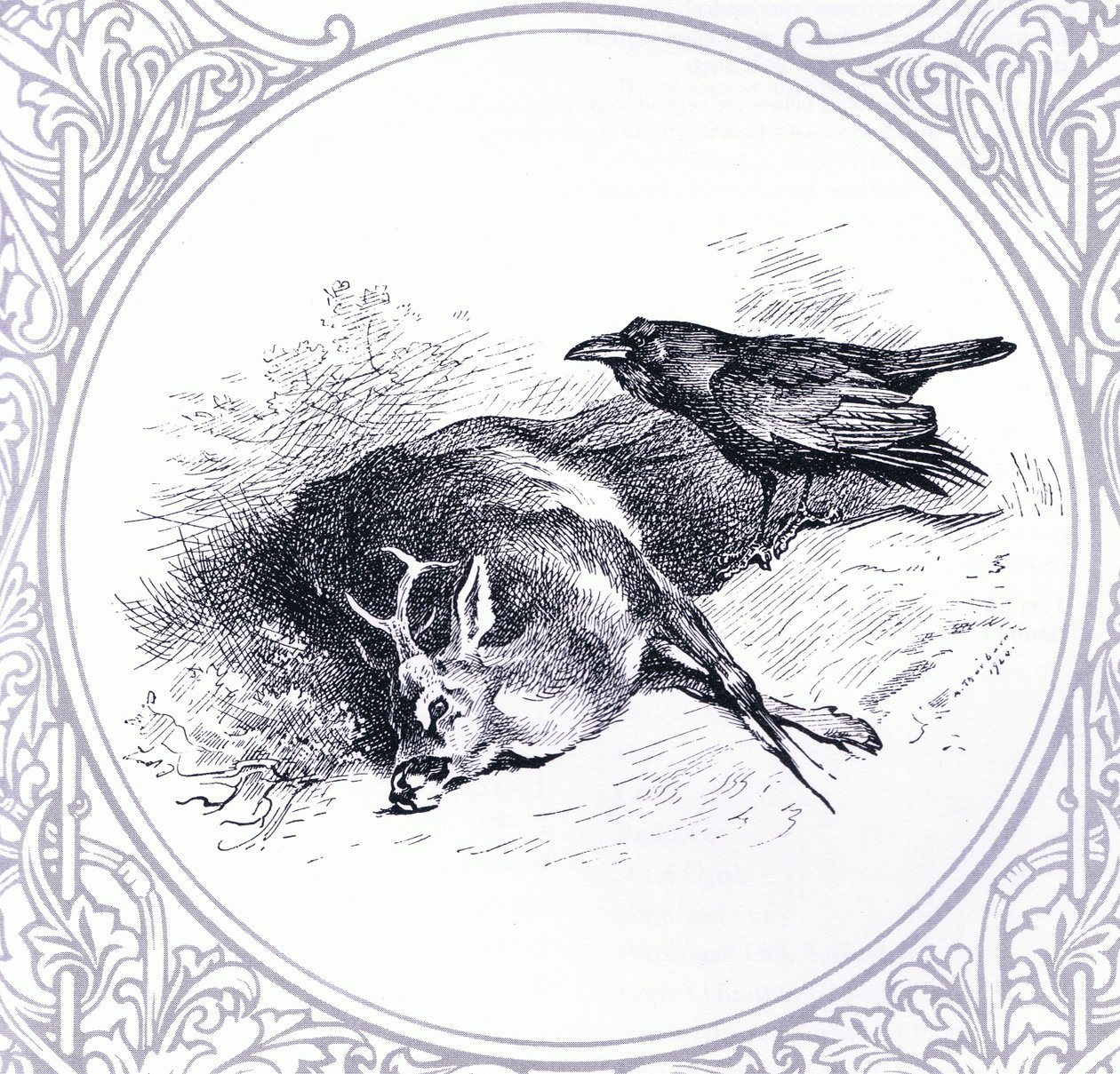 Deer and Raven, pub. by Book Club Associates by Archibald Thorburn