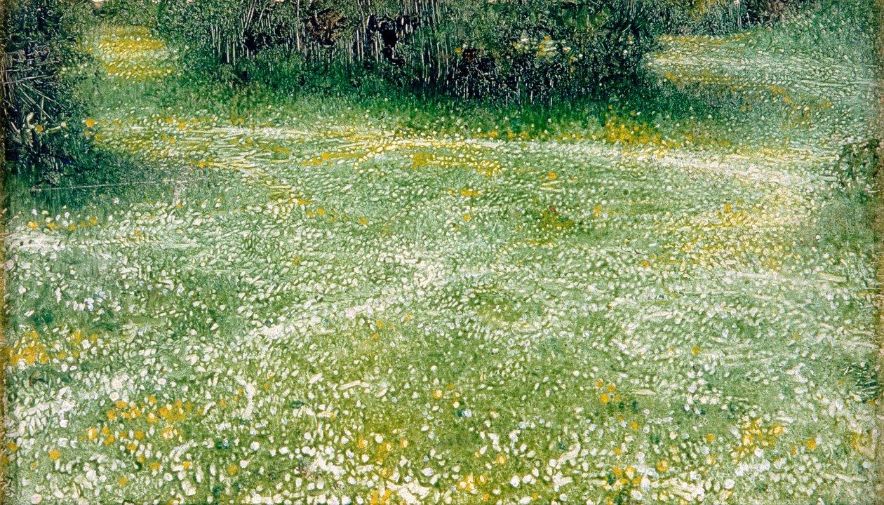 Daisies at Burnham, c.1918 by Arthur Hacker