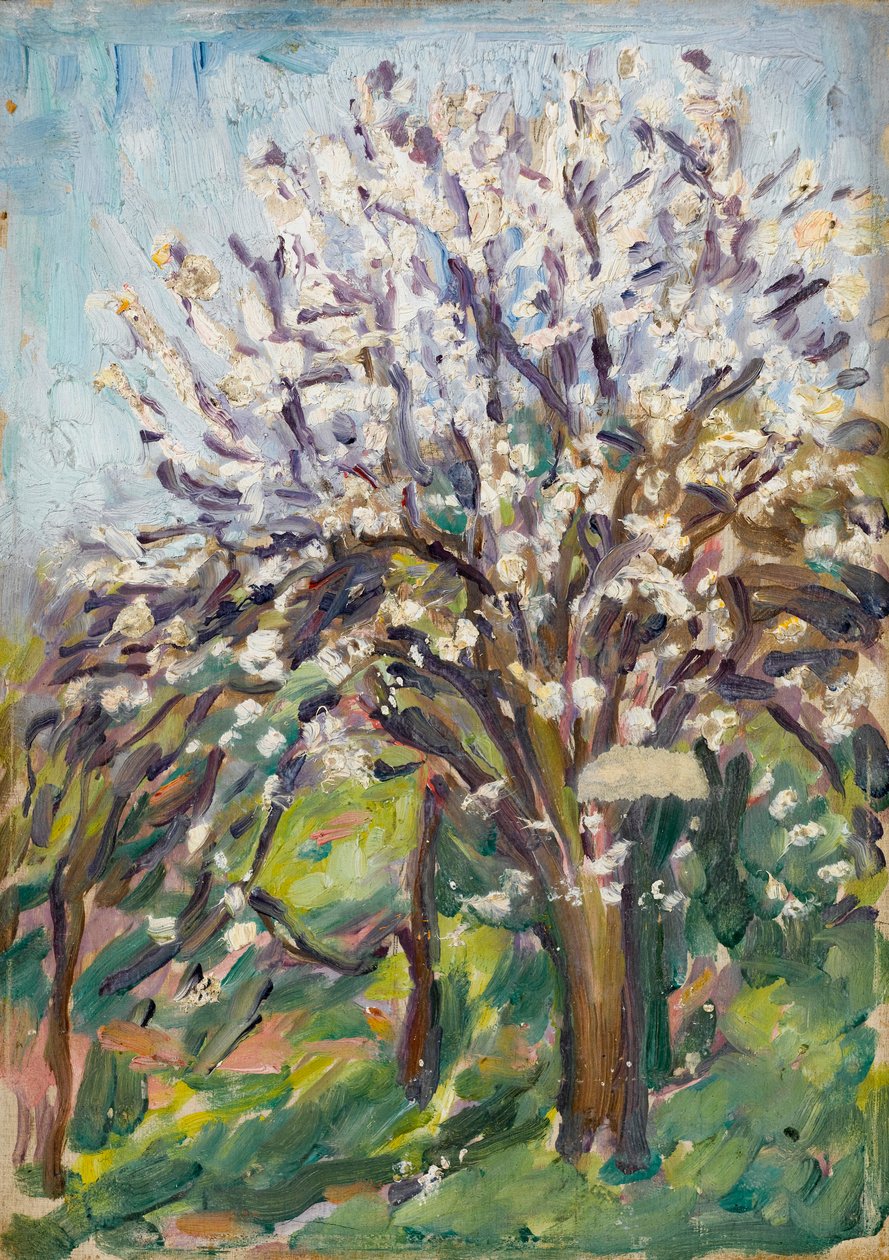 Almond Blossom on a Sloping Verge by Arthur Haythorne Studd