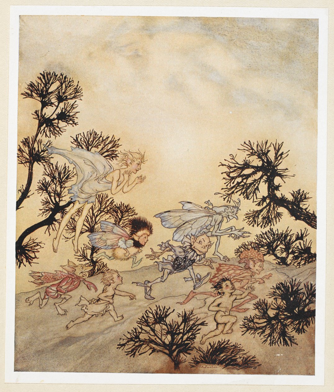 ACT IV: Scene I, line 259 Go charge my goblins that they grind their joints With dry convulsions by Arthur Rackham