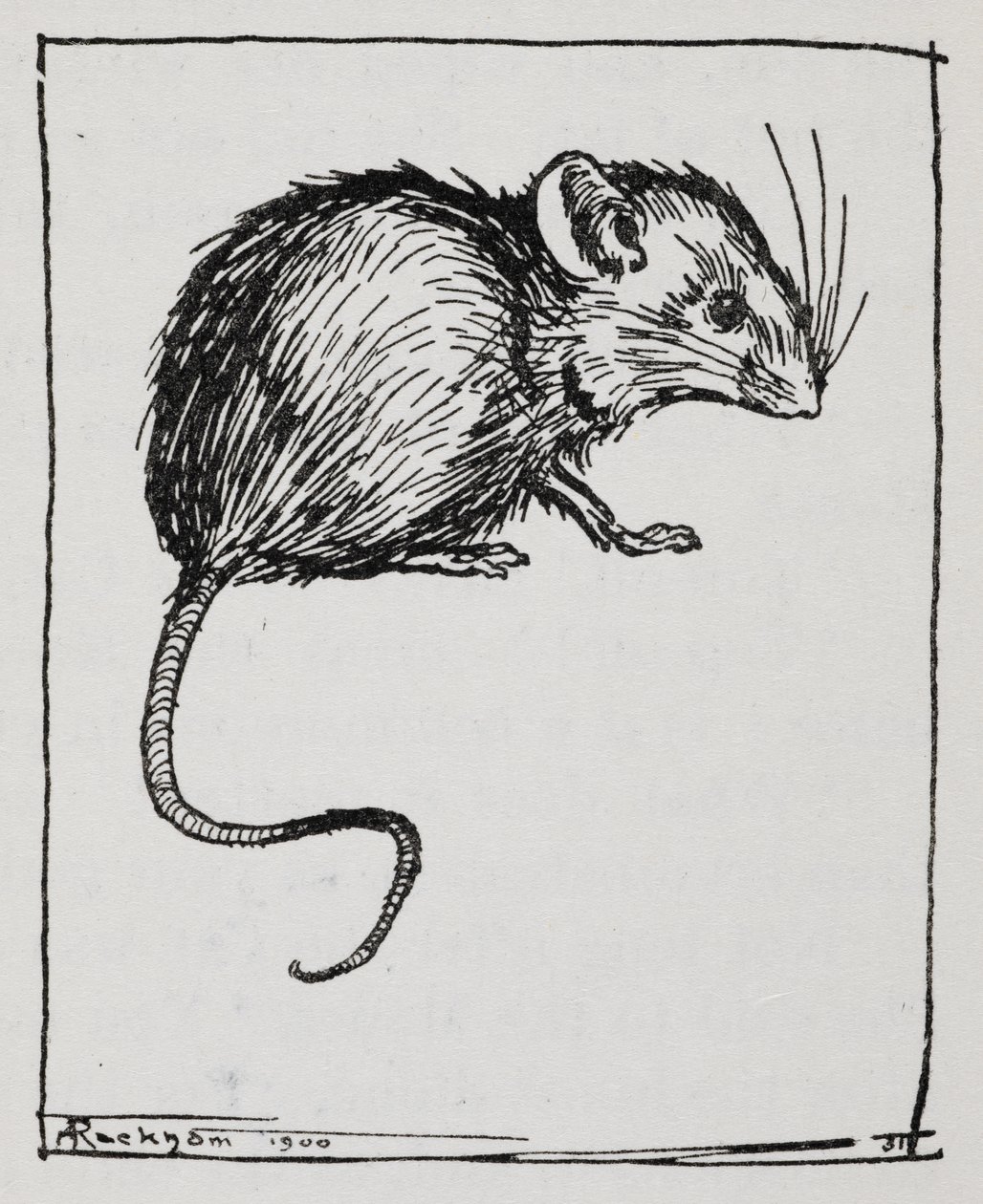 A mouse by Arthur Rackham: Premium art reproduction