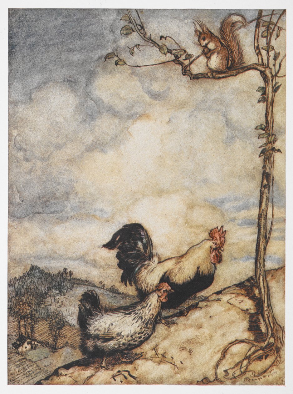 An illustration of a hen, cockerel and squirrel from The Adventures of ...