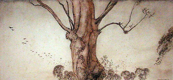 Barbara's Tree by Arthur Rackham: Premium art reproduction