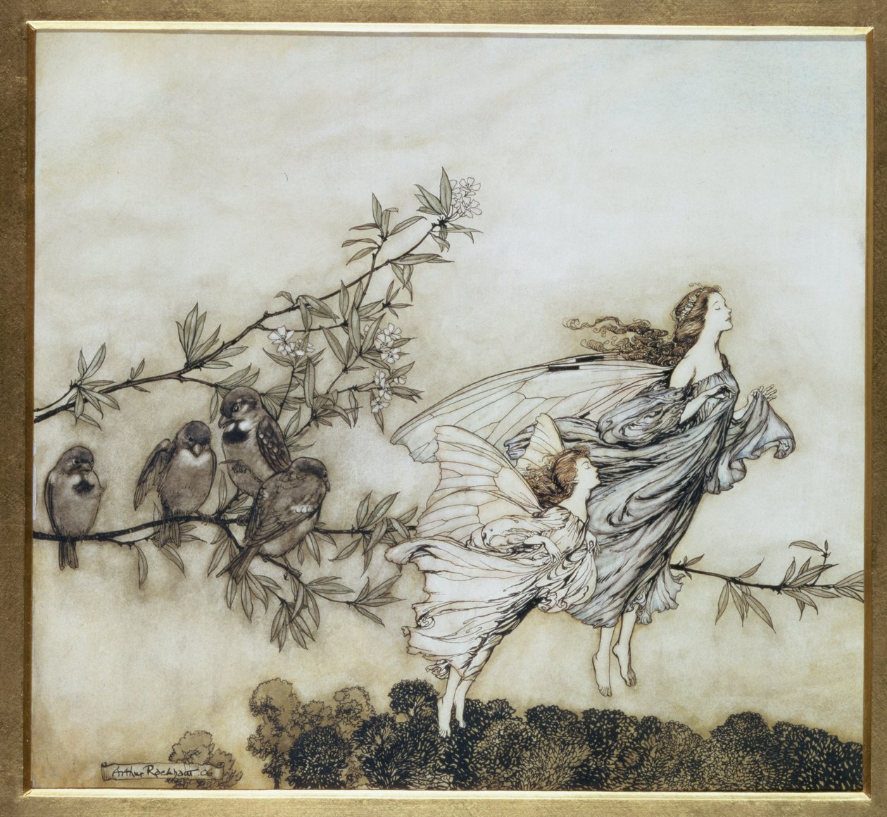 The Fairies have their Tiff with the Birds, 1906 illustration for Peter ...