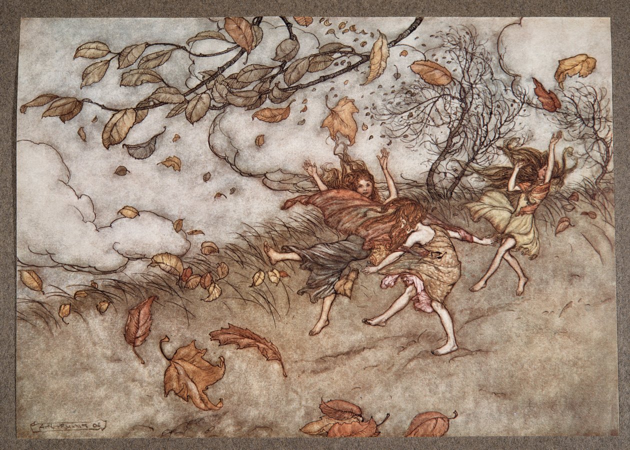 There is almost nothing that has such a keen sense of fun as a fallen leaf, from Peter Pan in Kensington Gardens by J.M. Barrie, pub. 1906 by Arthur Rackham