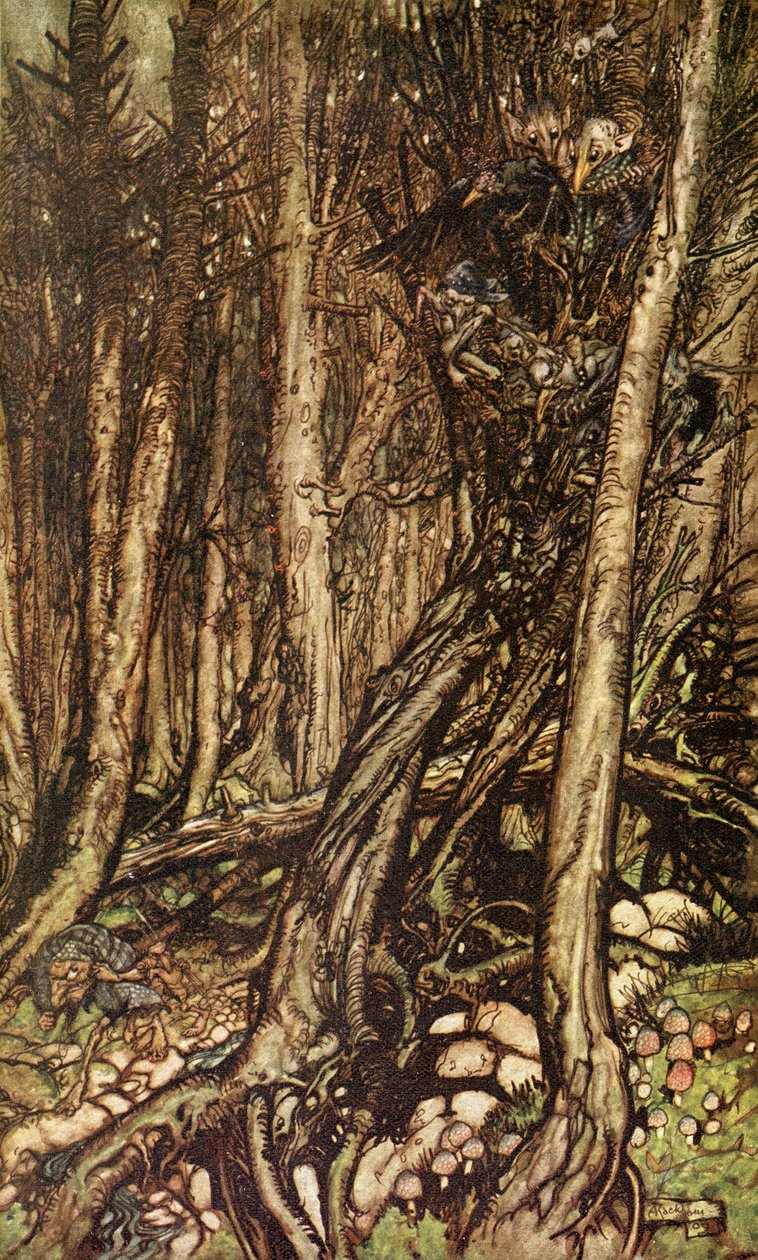 Undine by Arthur Rackham