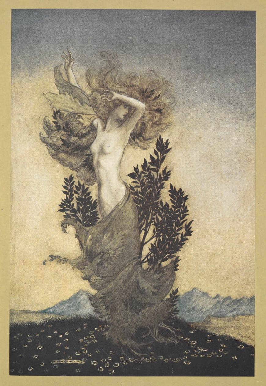 ... as Daphne was, root-bound, that fled Apollo by Arthur Rackham