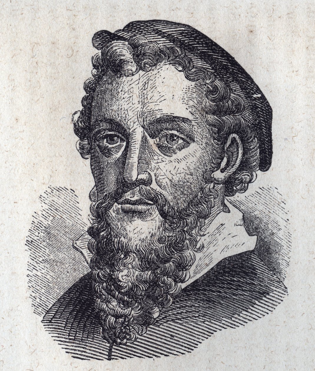 Portrait of Antonio Allegri, Known as Correggio by Artist Unknown