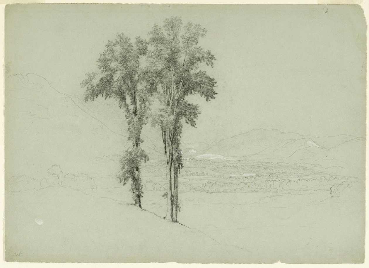 Mountainous Landscape with Two Trees by Asher Brown Durand