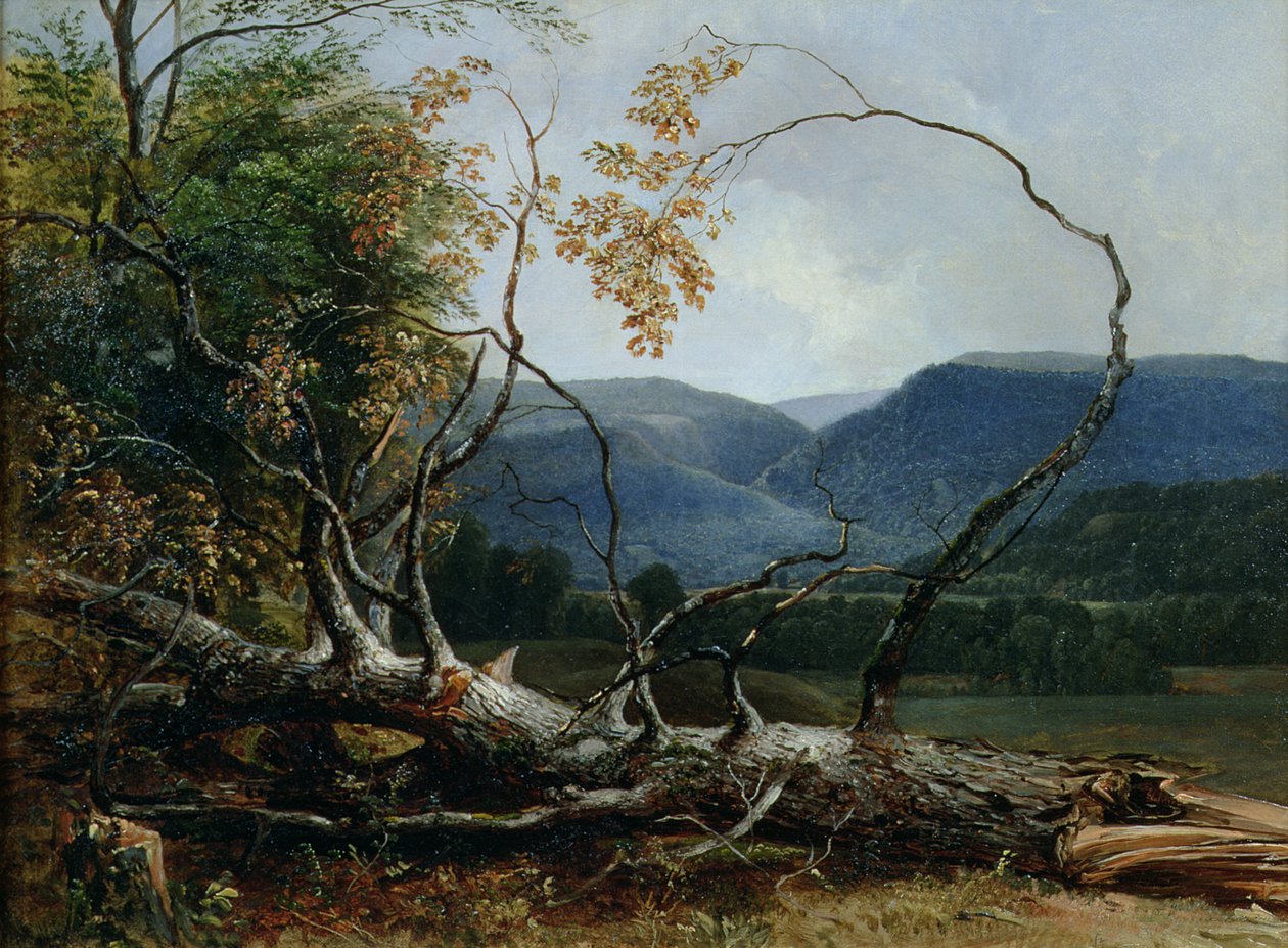 Stratton Notch, Vermont by Asher Brown Durand