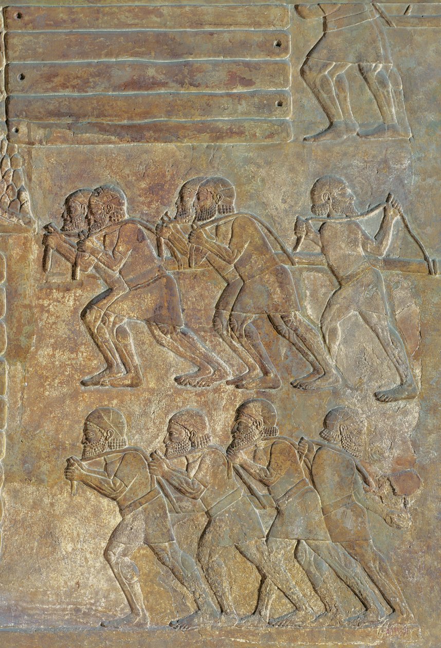 Detail of a relief depicting the stocking up of wood on the shore before transportation by sea, from the Palace of Sargon II, Khorsabad, Iraq by Assyrian