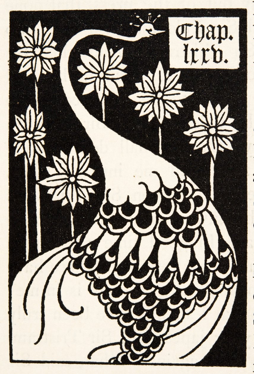 Peacock, Chapter Heading by Aubrey Beardsley