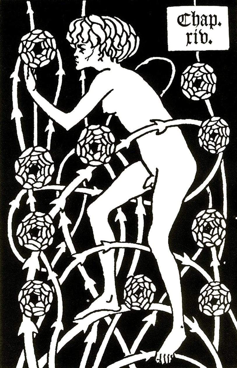 Hermaphrodite Amongst the Roses from Le Morte d