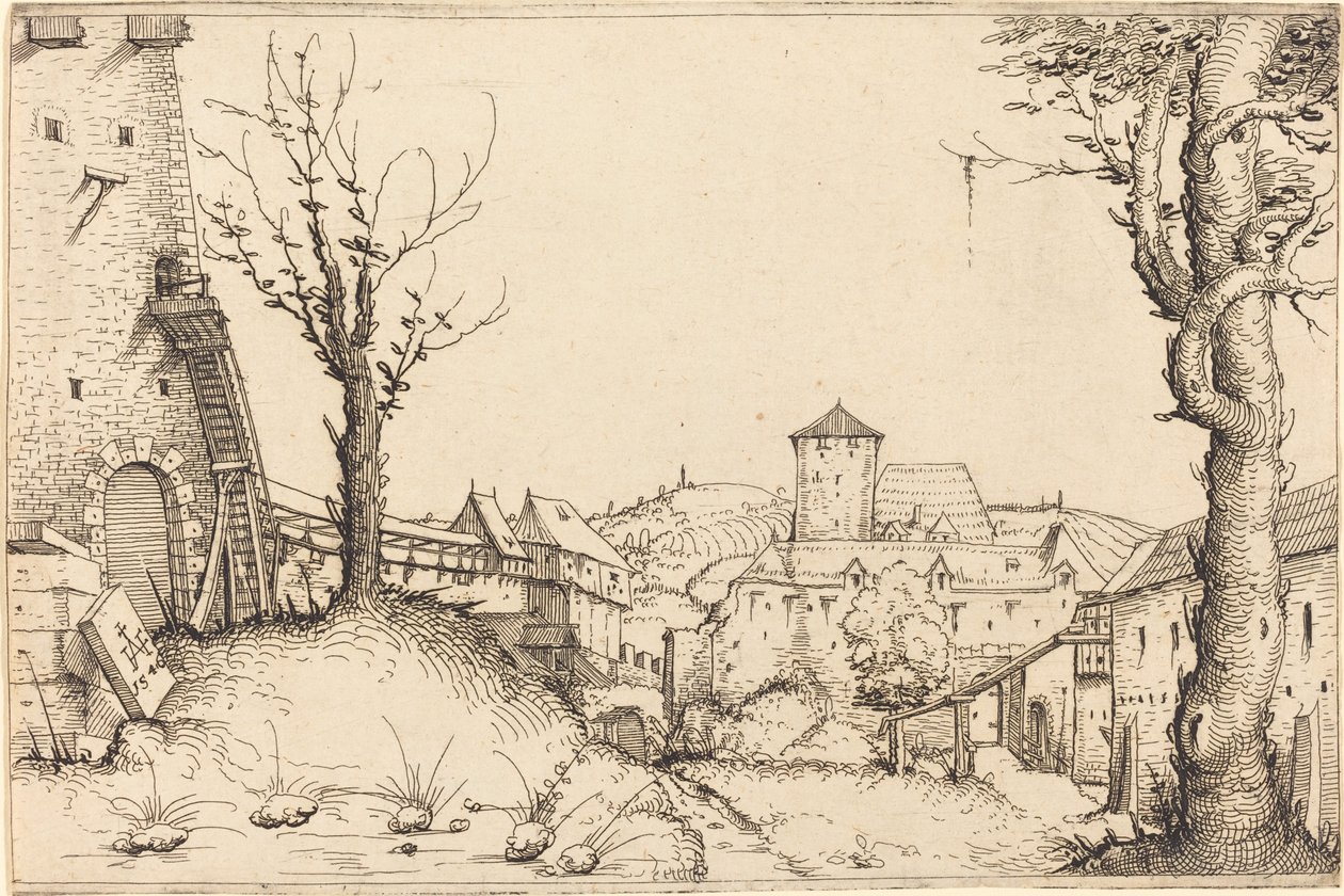 Courtyard of a Castle by Augustin Hirschvogel