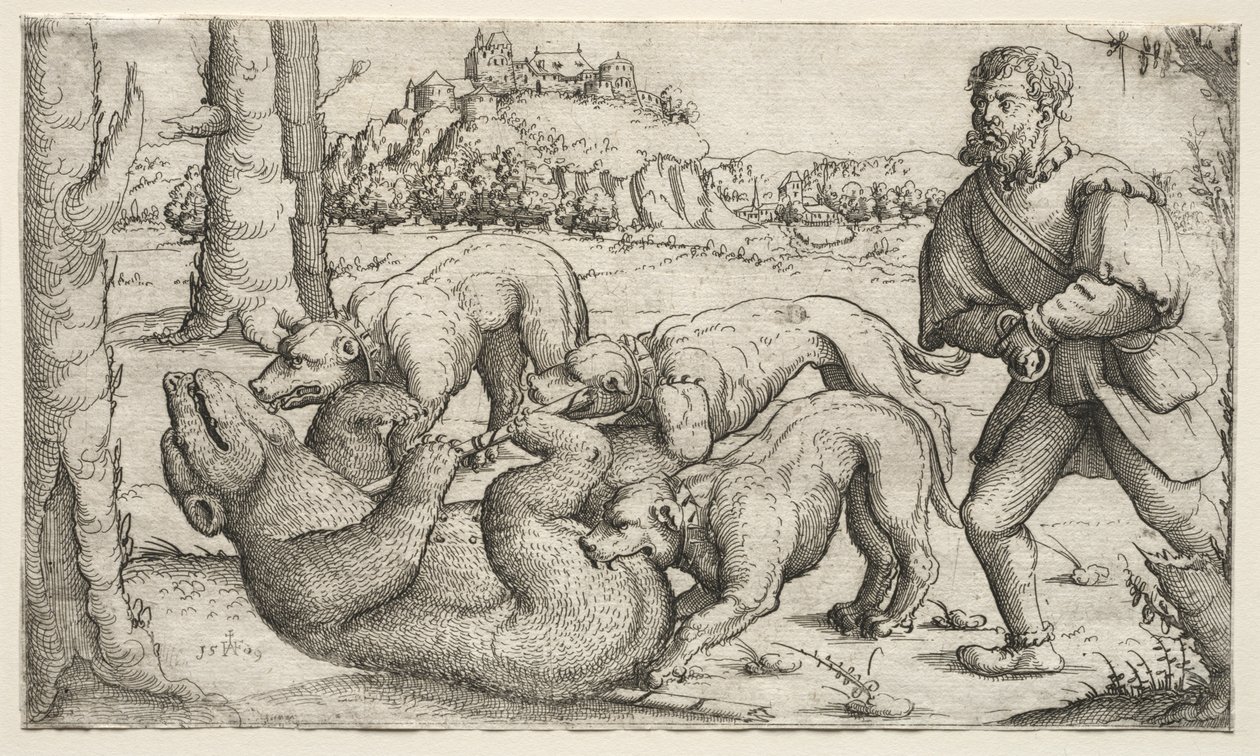 A Bear Hunt by Augustin Hirschvogel
