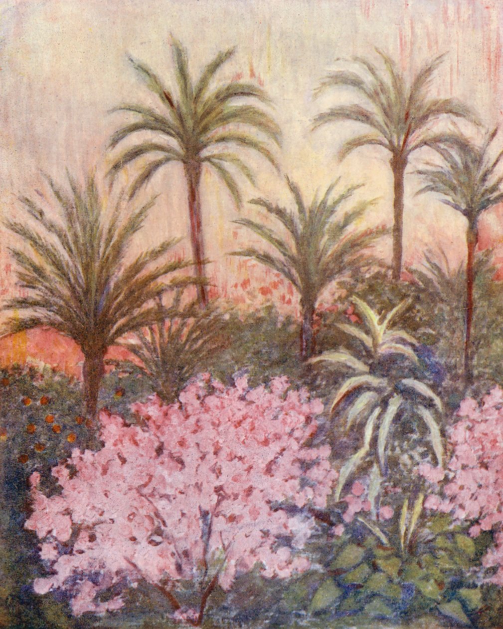 A Palm Grove in Murcia by Augustine Fitzgerald
