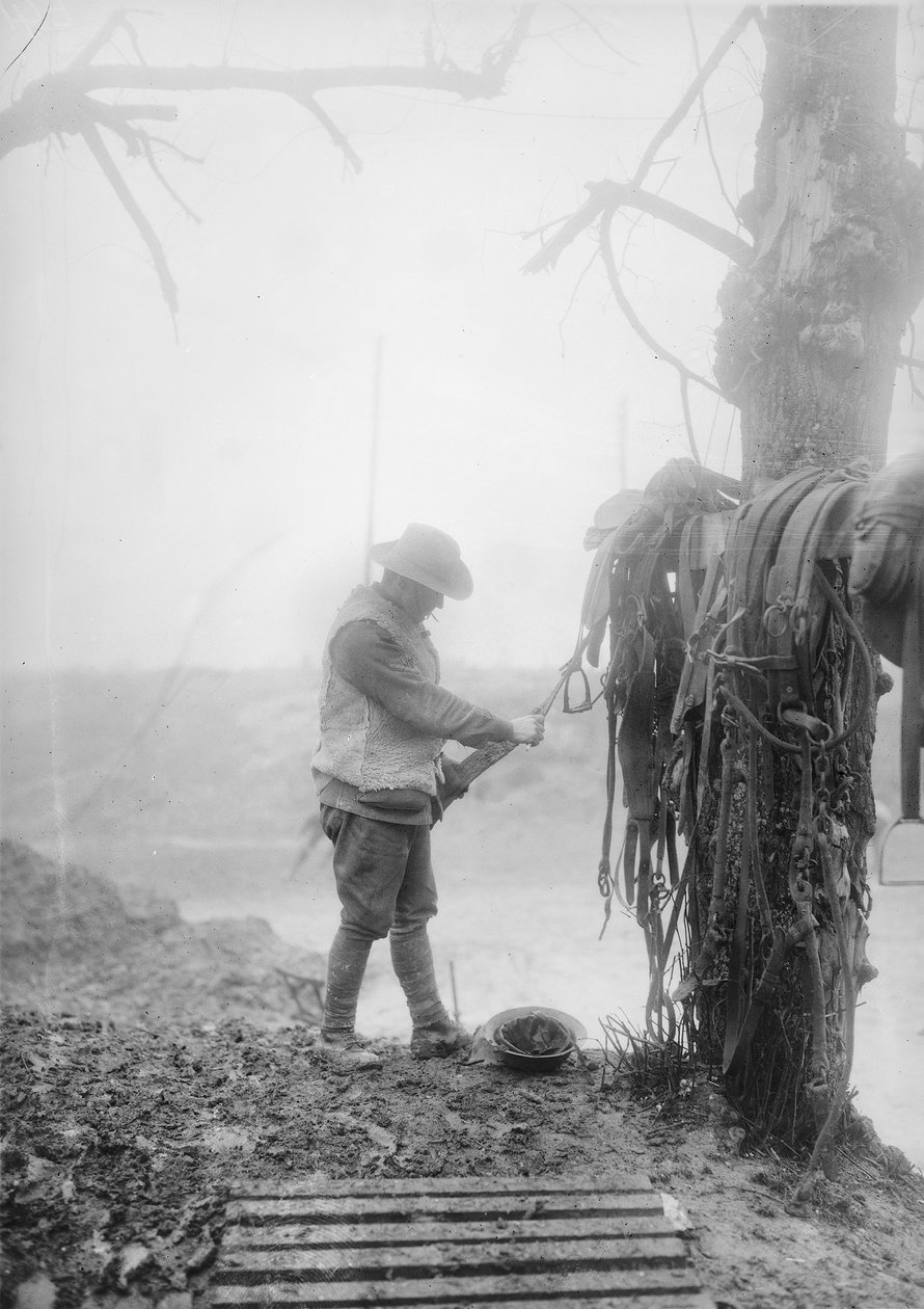 An Unidentified Australian Artillery Driver Cleaning Mud from His Team