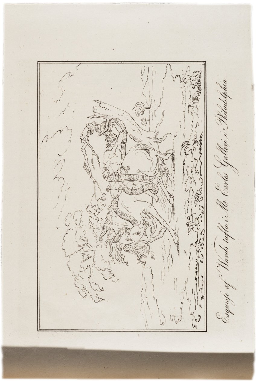Sketch of Ward