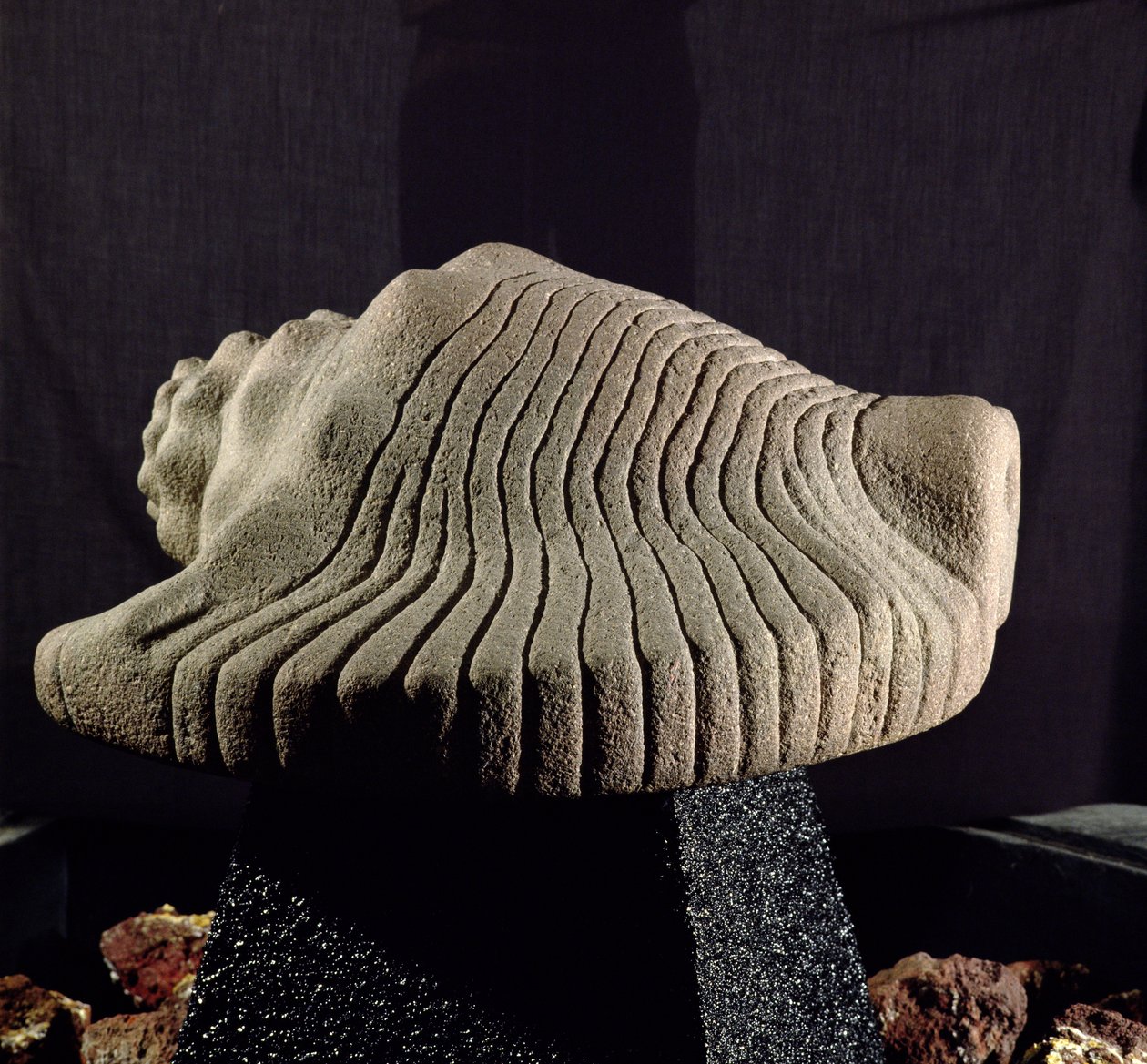 Sea Snail Shell by Aztec