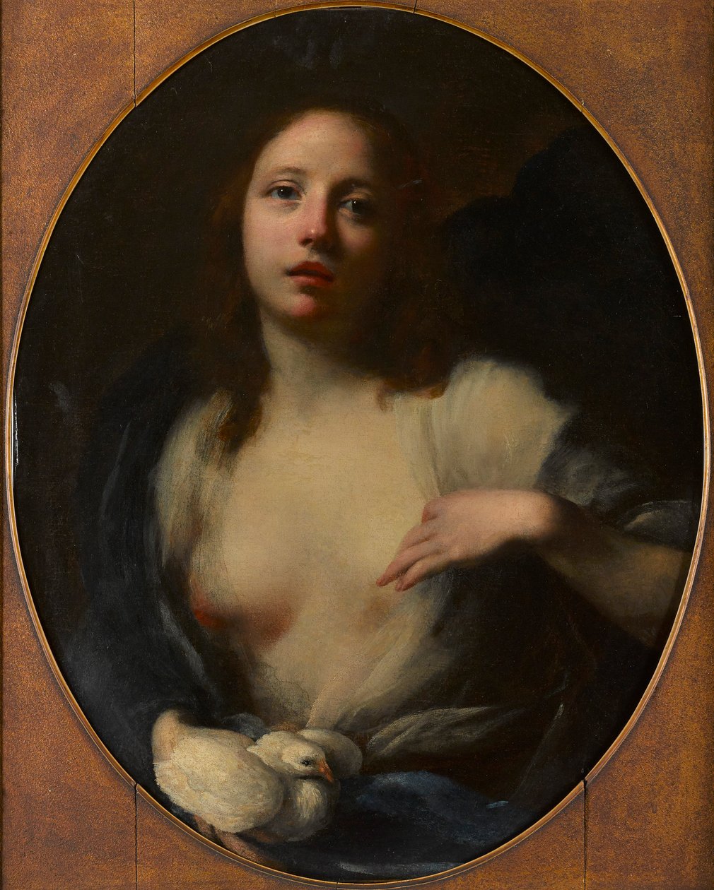 Young Girl with White Dove by Baldassare (1611 89) Franceschini
